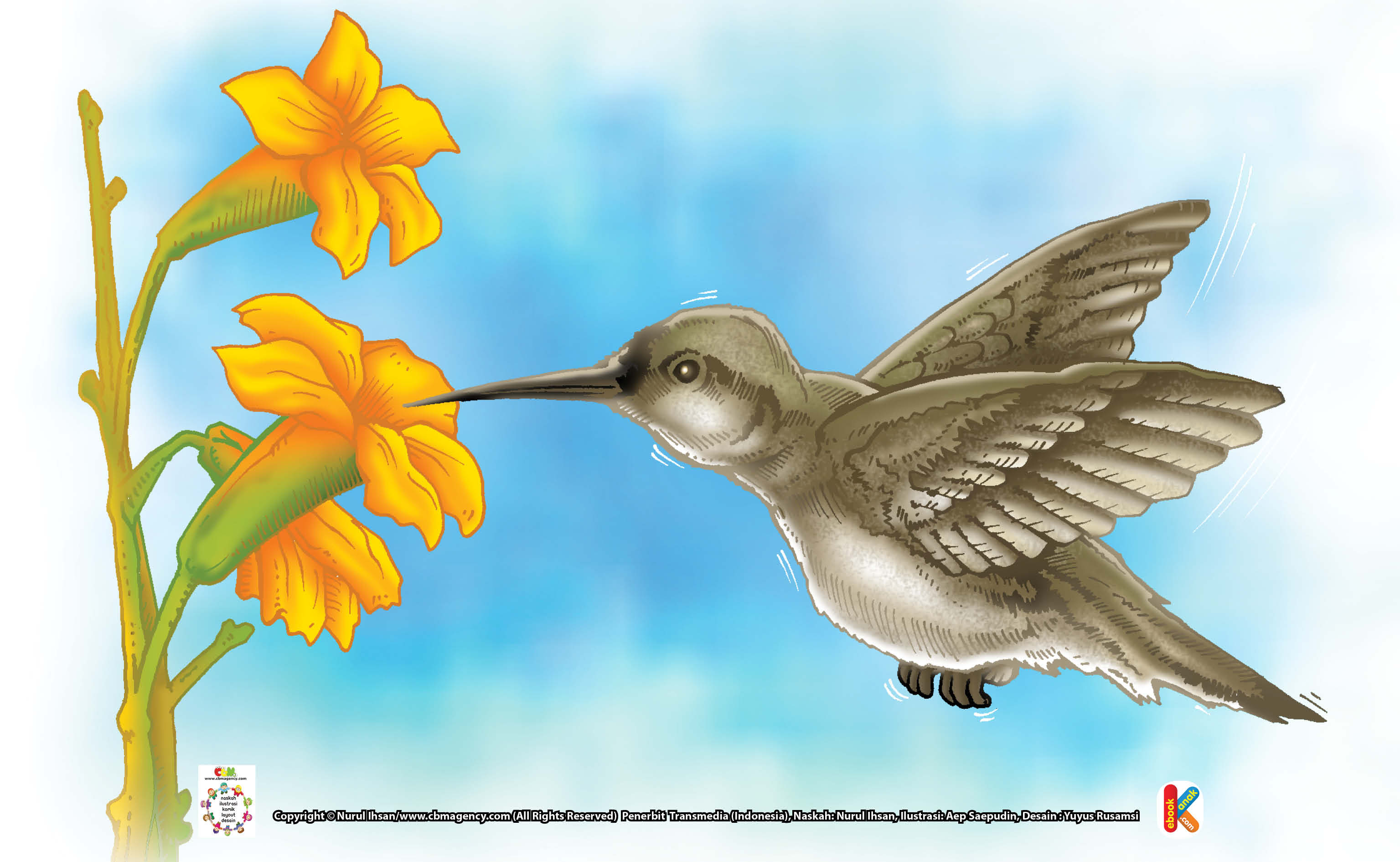 Kolibri Burung Sekecil Serangga