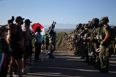 Clashes After Immigration Raid at California Cannabis Farm