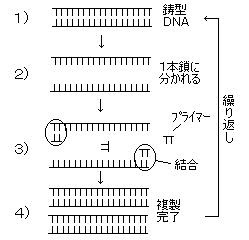 ３ サムシング グレートの存在 無神論は あまりにも状況を考えていない短絡的な思想である 自然の実態をよく調べると 自然発生的には絶対考えられないいくつかの決定的事実が存在する その一つとして 生物のｄｎａが挙げられ それがあまりに