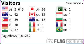 Flag Counter