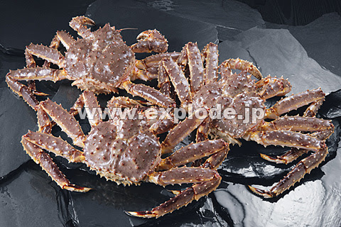 075 タラバガニ Ml Jpg 写真素材