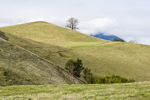 Trails Through the Hills