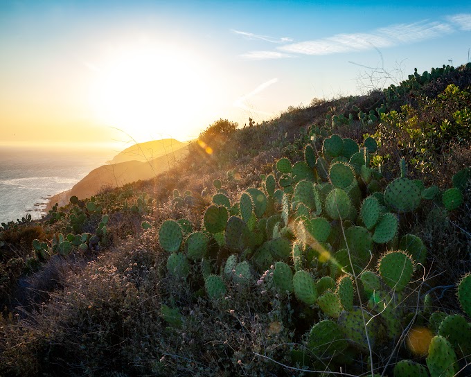 The Santa Monica Mountains, Malibu, CA [OC] [2160x1728] - HQ Earth Landscapes Photo