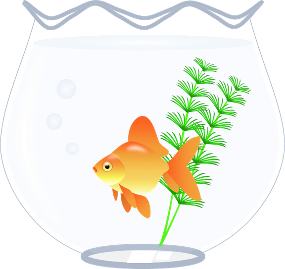 金魚鉢のイラスト 琉金入り 無料イラスト素材 ちいさないきもの