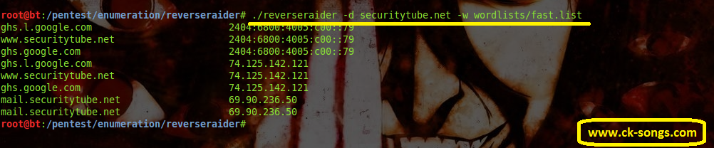 ReverseRaider domain scanner - Backtrack 5 R3