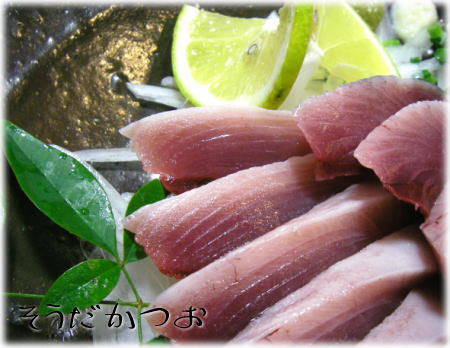 ソーダカツオ ヒラソウダカツオ の三枚おろし 魚料理と簡単レシピ