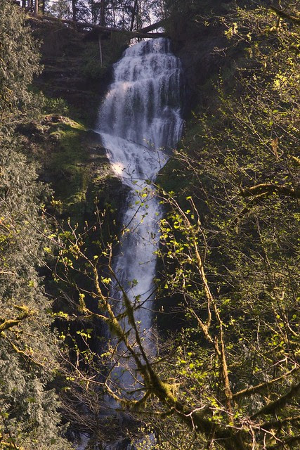 Munson Creek Falls