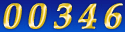 Web Hit Counter