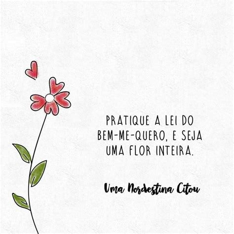 melhores ideias de frases  fotos sozinha