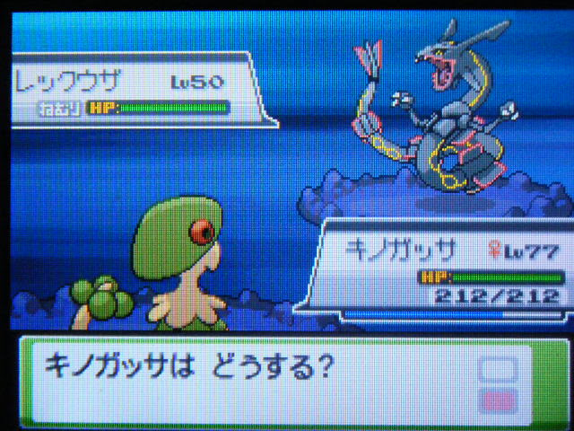 色違いレックウザ オレサマなミラクルな 楽天ブログ