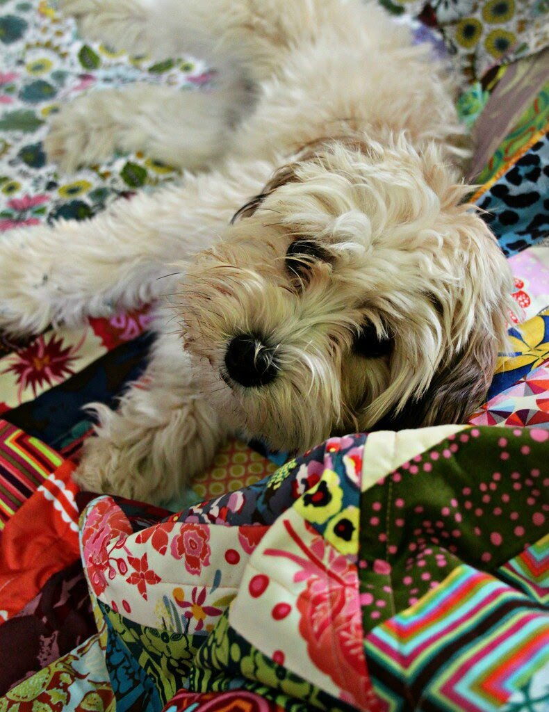 Penelope & Quilt
