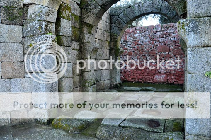  photo acute_Idanha_zps3d7dbd9d.jpg