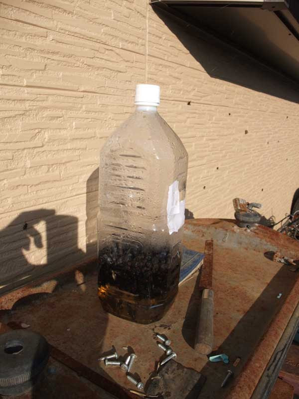 大量発生したハエを駆除する ハエ取りエキスの作り方 自作pc使ってます