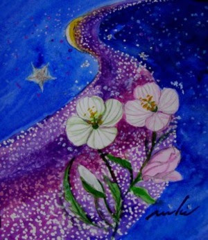 月見草 水彩 イラスト画庫