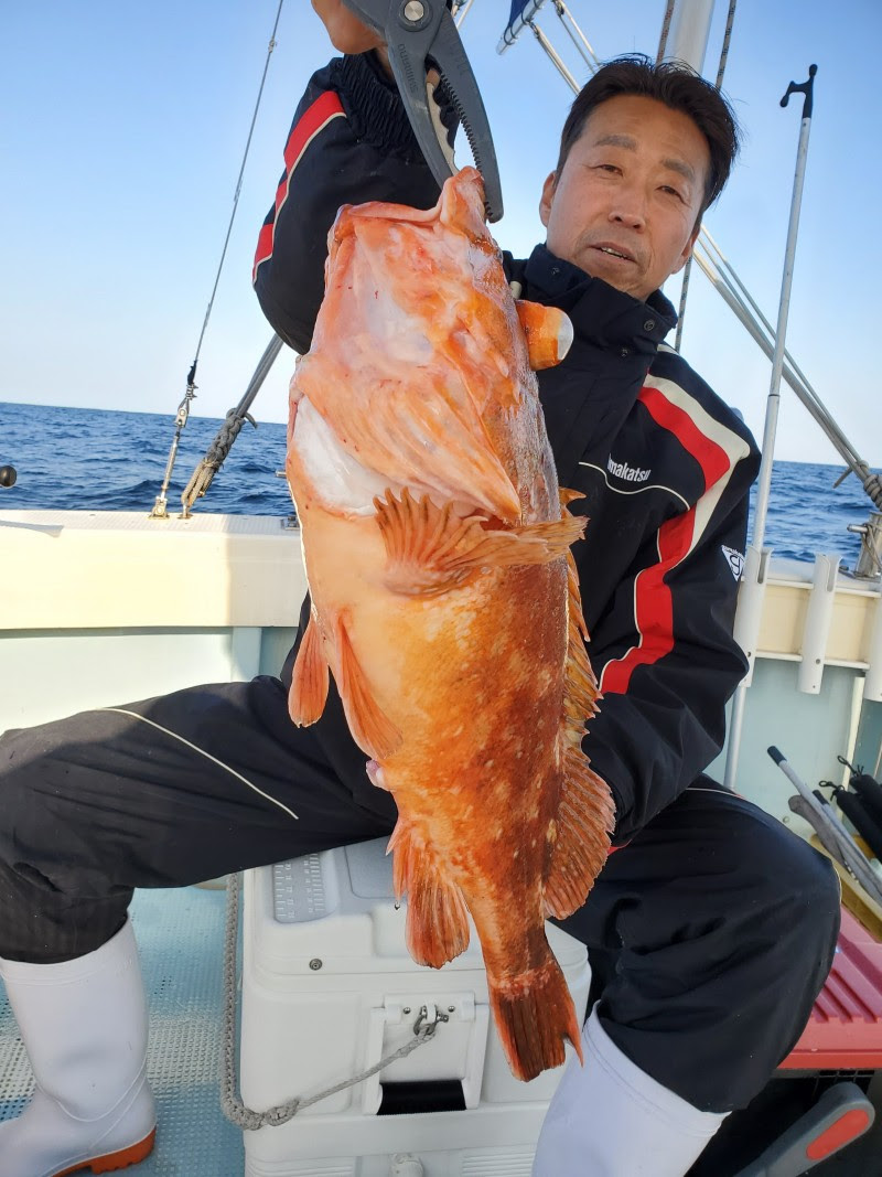 胡百 釣果情報 2年2月21日 泳がせ