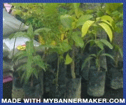 Create your own banner at mybannermaker.com!