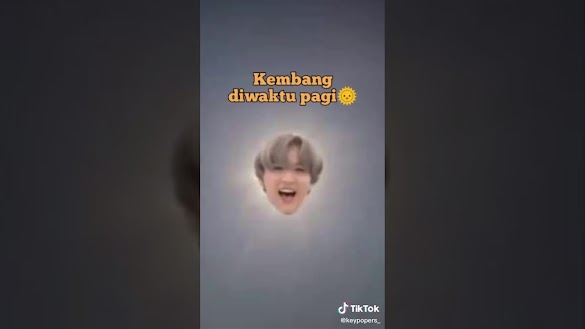 Bunga Matahari Ost Upin Ipin / Lagu Upin Ipin Bunga Matahari Mp3 : Kumpulan memes upin ... - Yang artinya nanem apa aja cepet tumbuhnya.