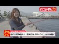 海釣り ちょい投げ 346835-海釣り ちょい投げ 仕掛け