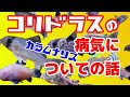 最高のコレクション エルバージュエース 副作用 123182