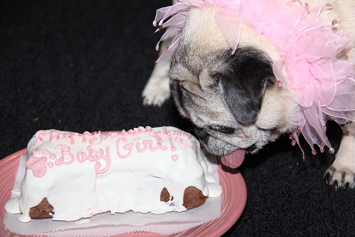 love you baby girl. love you baby girl.