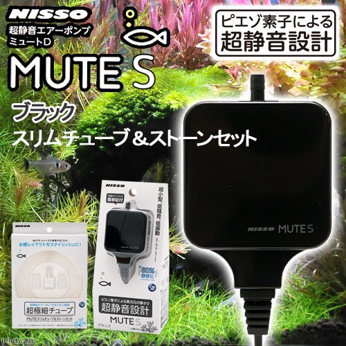 アクアリウム水槽はエアレーションなしでも大丈夫か アクアリウムの始め方
