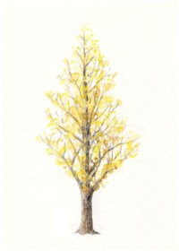 イチョウ 銀杏 の描き方その１ お絵描きなんて簡単