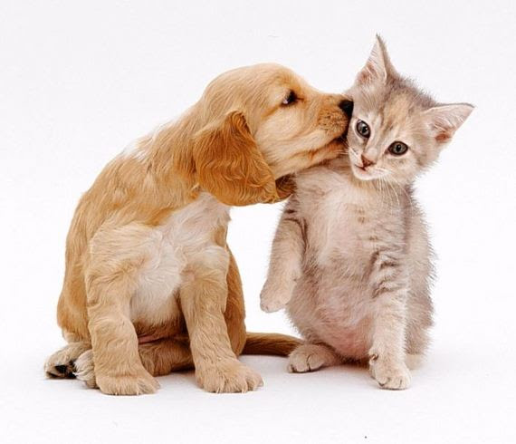 So Cute