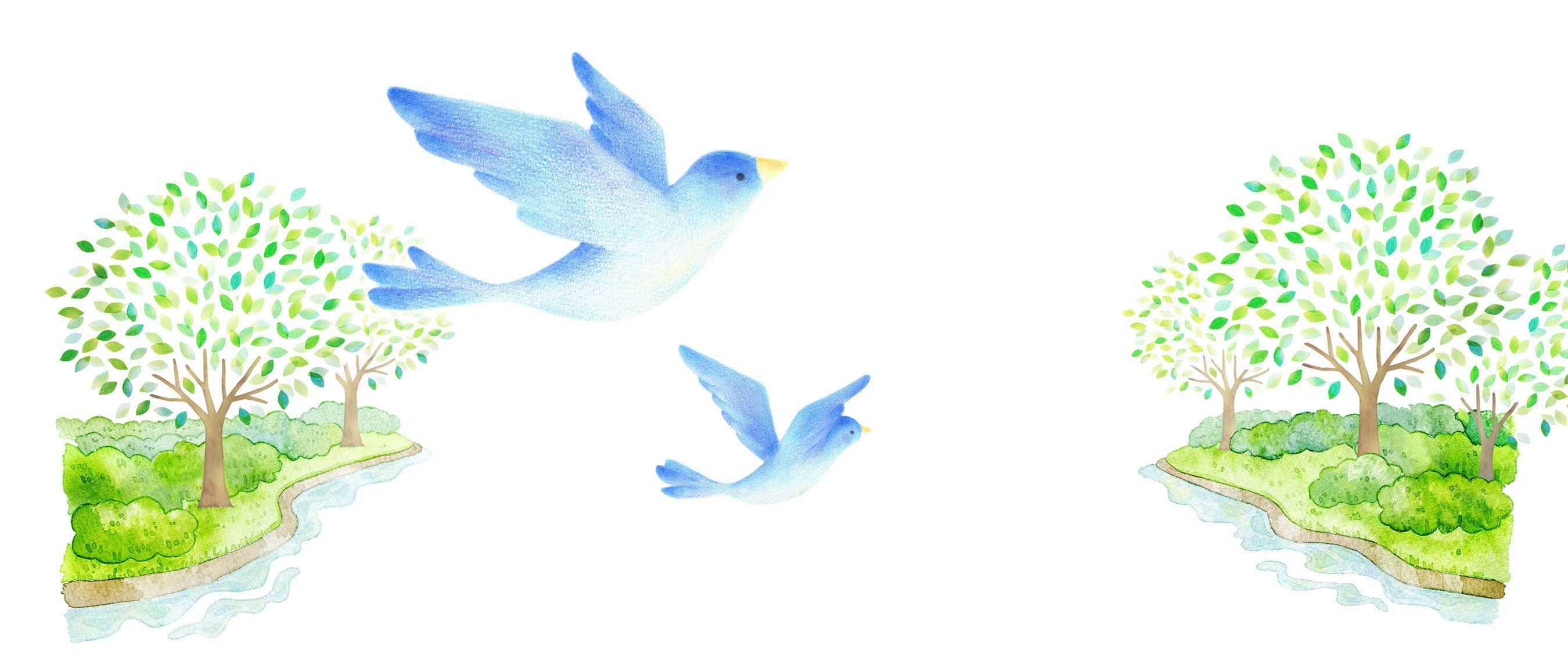 0以上 青い鳥イラスト 動物画像hdダウンロード