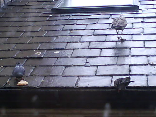 Photo 2138 4
