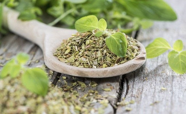 oregano 3 Orégano: bons motivos para incluí lo na sua alimentação