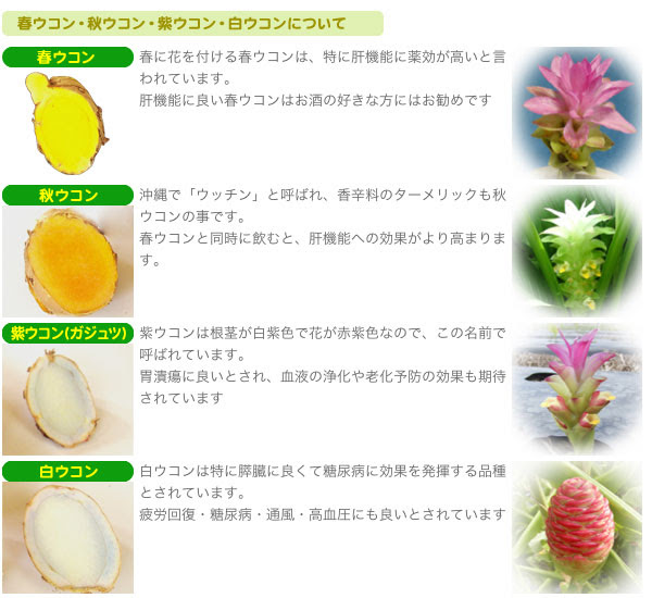 ウコン 沖縄の健康食品なら ワールドネット ワン