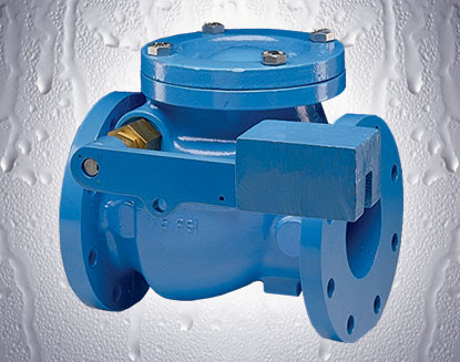 form kong check hong reference 90LW/92LW Swing  Valve  Flomatic Corp