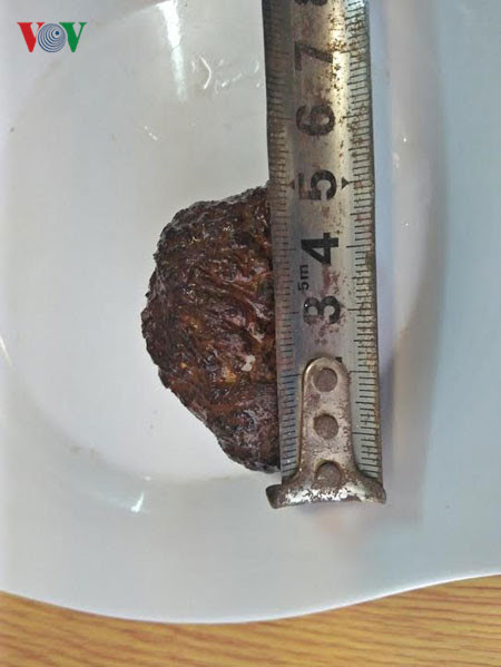 Hai hòn “dương bảo“ có tổng trọng lượng là 300 g, đã có nhiều người trả giá cao nhưng anh Phúc chưa đồng ý bán.