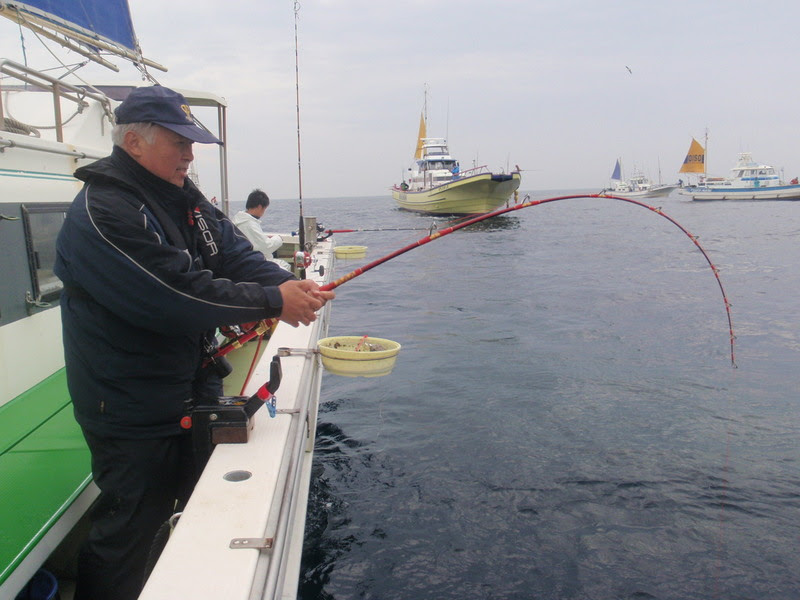 激熱 相模湾泳がせブリ 自由気ままなｆｉｓｈｉｎｇｌｉｆｅ