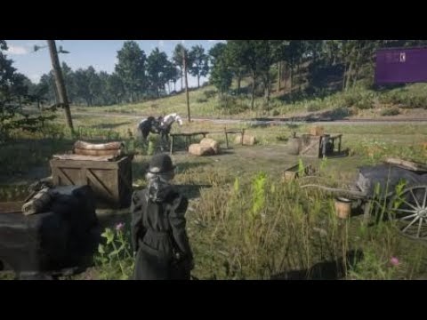 Rdr2 Online Traveling Opulence