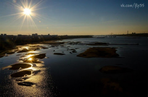Из-за обмеления Рыбинского водохранилища специалисты прогнозируют массовый мор рыбы зимой