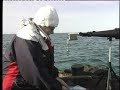 Video Сивучи на Сахалине.mpg