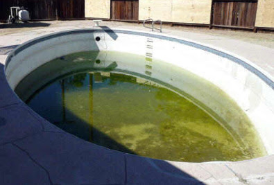 Swimming Pool Tips..Pool Chemistry..Cloudy Water..Green Algae