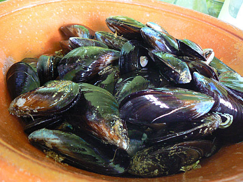 moules crues.jpg