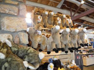 グランドキャニオン観光マニアおススメ 人気のお土産を写真で紹介 日本国籍捨てた夫と私のアメリカぶっとび生活