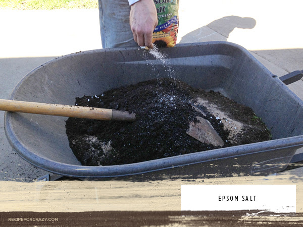 prepping your soil for food gardening