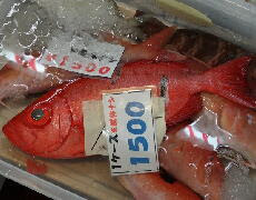 ホの魚