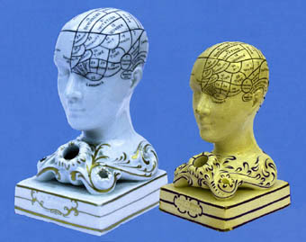 Phrenology 2 thin