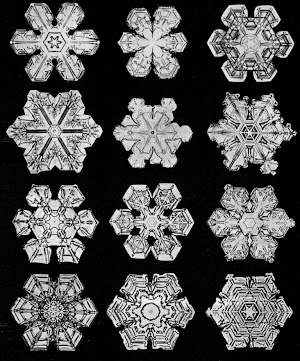 Snowflake Bentley Book Video - New Book Edition 
