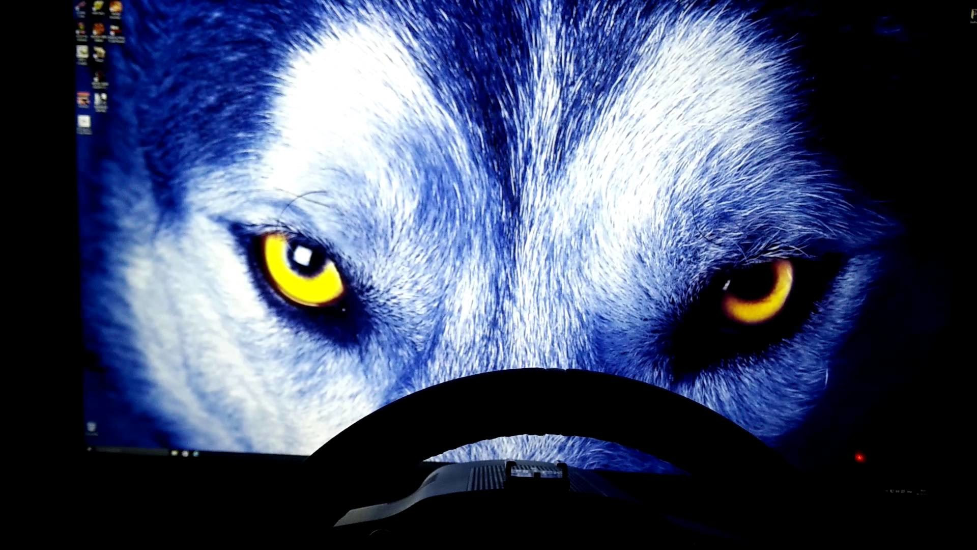 4K Wolf Wallpaper (43+ images)