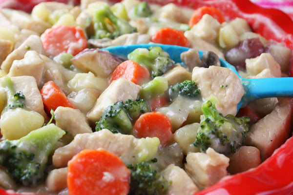 Easy Chicken Stew - Jenny Can Cook