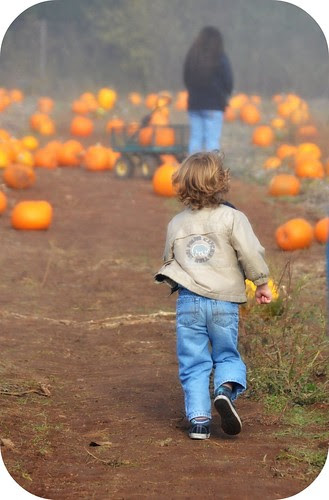 Pumpkin Hunt