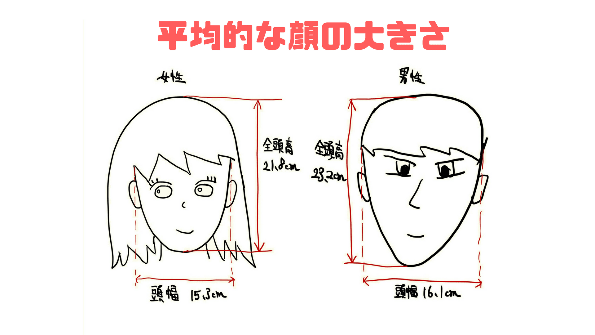小顔にする方法１０選 医学から考えた本当に効果のある方法は