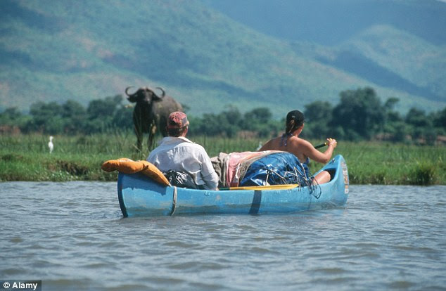 A trip down the Zambezi can be fraught with danger - including the possibility of being charged by buffaloes