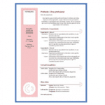 Plantilla curriculum gratis